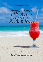 Ася Тепловодская - Просто жизнь… Сборник рассказов