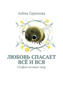 Алёна Гарипова Любовь спасает всё и вся. Стефан познает мир обложка книги