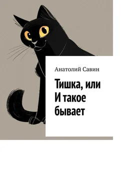 Анатолий Савин Тишка, или И такое бывает обложка книги