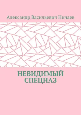 Александр Ничаев Невидимый спецназ обложка книги