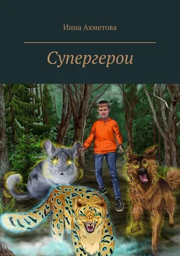 Инна Ахметова Супергерои обложка книги