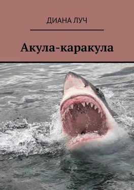 Диана Луч Акула-каракула обложка книги