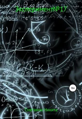 Никита Сметанин - Experiment №17