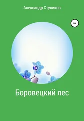 Александр Стуликов - Боровецкий лес