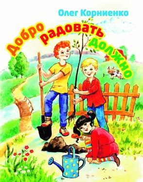 Олег Корниенко Добро радовать должно обложка книги