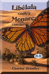 Charley Brindley - Libélula Contra Monarca