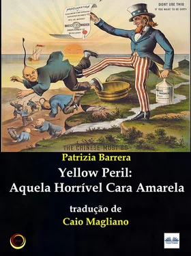 Patrizia Barrera Yellow Peril: Aquela Horrível Cara Amarela обложка книги