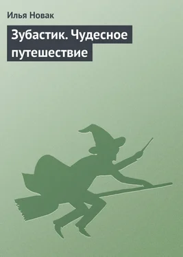 Илья Новак Зубастик. Чудесное путешествие обложка книги