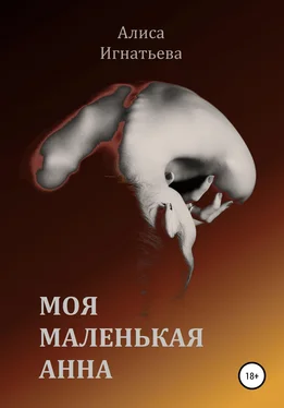 Алиса Игнатьева Моя маленькая Анна обложка книги