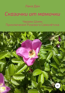 Лана Дан Сказочки от мамочки обложка книги