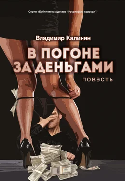 Владимир Калинин В погоне за деньгами обложка книги