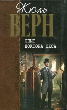 Жюль Верн Опыт доктора Окса : романы, повести и рассказы