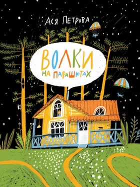 Анастасия Петрова Волки на парашютах обложка книги