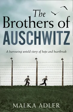 Malka Adler The Brothers of Auschwitz обложка книги