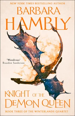 Barbara Hambly Knight of the Demon Queen