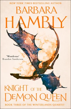 Barbara Hambly Knight of the Demon Queen обложка книги