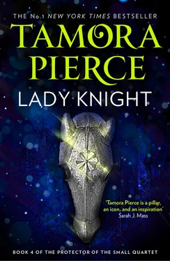 Tamora Pierce Lady Knight обложка книги