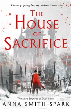 Anna Smith Spark The House of Sacrifice обложка книги