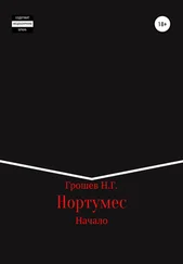 Николай Грошев - Нортумес. Начало