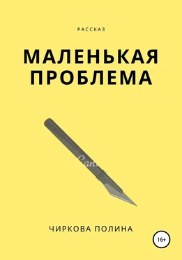 Полина Чиркова Маленькая проблема обложка книги