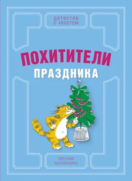 Евгения Малинкина Похитители праздника обложка книги