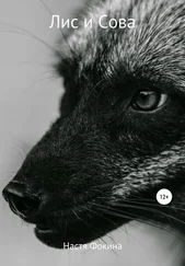 Настя Фокина - Лис и Сова