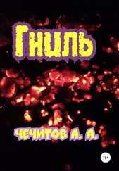 Александр Чечитов - Гниль