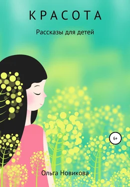 Ольга Новикова Красота обложка книги