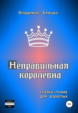 Владимир Блецко Неправильная королевна обложка книги