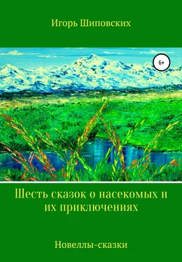 Игорь Шиповских Шесть сказок о насекомых и их приключениях обложка книги