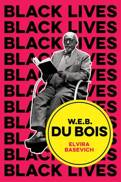 Elvira Basevich W.E.B. Du Bois обложка книги