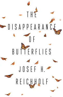 Josef H. Reichholf The Disappearance of Butterflies обложка книги