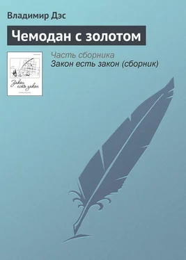 Владимир Дэс Чемодан с золотом обложка книги