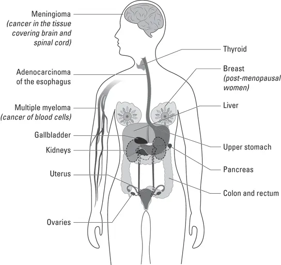 Source wwwcdcgov FIGURE 41Thirteen cancers associated with being - фото 67