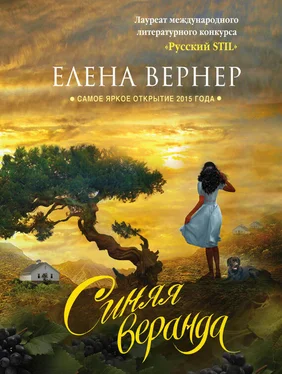 Елена Вернер Синяя веранда (сборник) обложка книги