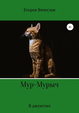 Вячеслав Егоров Мур-Мурыч. В джунглях обложка книги