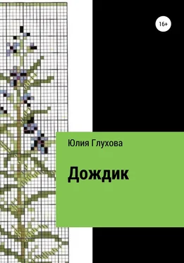 Юлия Глухова Дождик обложка книги