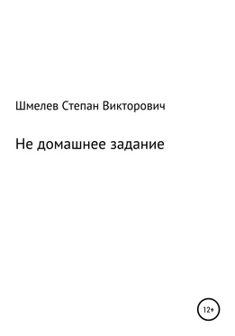 Степан Шмелев Не домашнее задание обложка книги