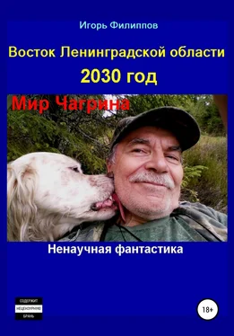 Игорь Филиппов Восток Ленинградской области 2030 год. Мир Чагрина. Ненаучная фантастика обложка книги