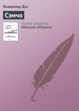 Владимир Дэс Сэмчо обложка книги