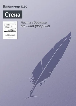 Владимир Дэс Стена обложка книги