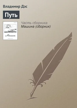 Владимир Дэс Путь обложка книги