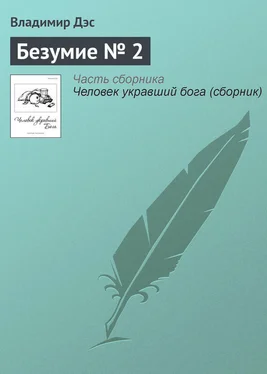 Владимир Дэс Безумие № 2 обложка книги