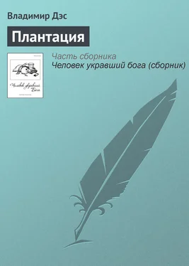 Владимир Дэс Плантация обложка книги