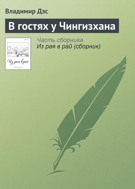 Владимир Дэс В гостях у Чингизхана обложка книги