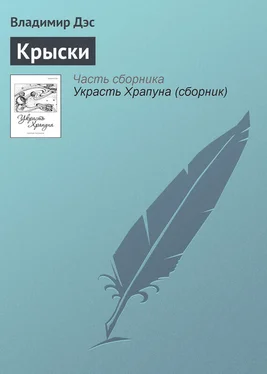 Владимир Дэс Крыски обложка книги