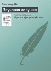 Владимир Дэс - Звуковая ловушка