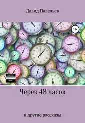 Давид Павельев - Через 48 часов