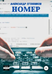 Александр Сгонников - Номер