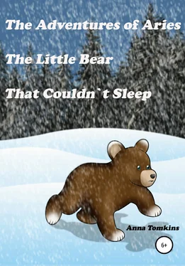 Anna Tomkins The Adventures of Aries, The Little Bear That Couldn`t Sleep обложка книги